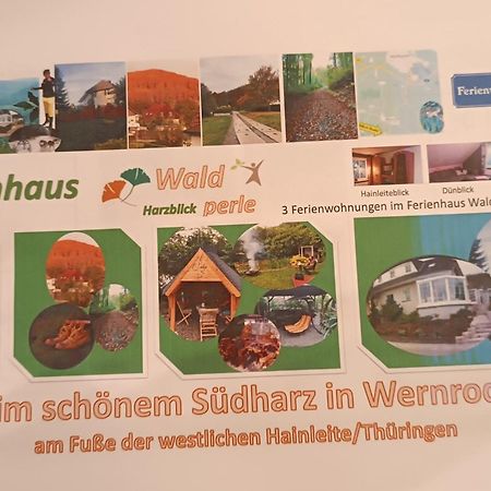 Ferienhaus Waldperle Harzblick Wernrode Bagian luar foto