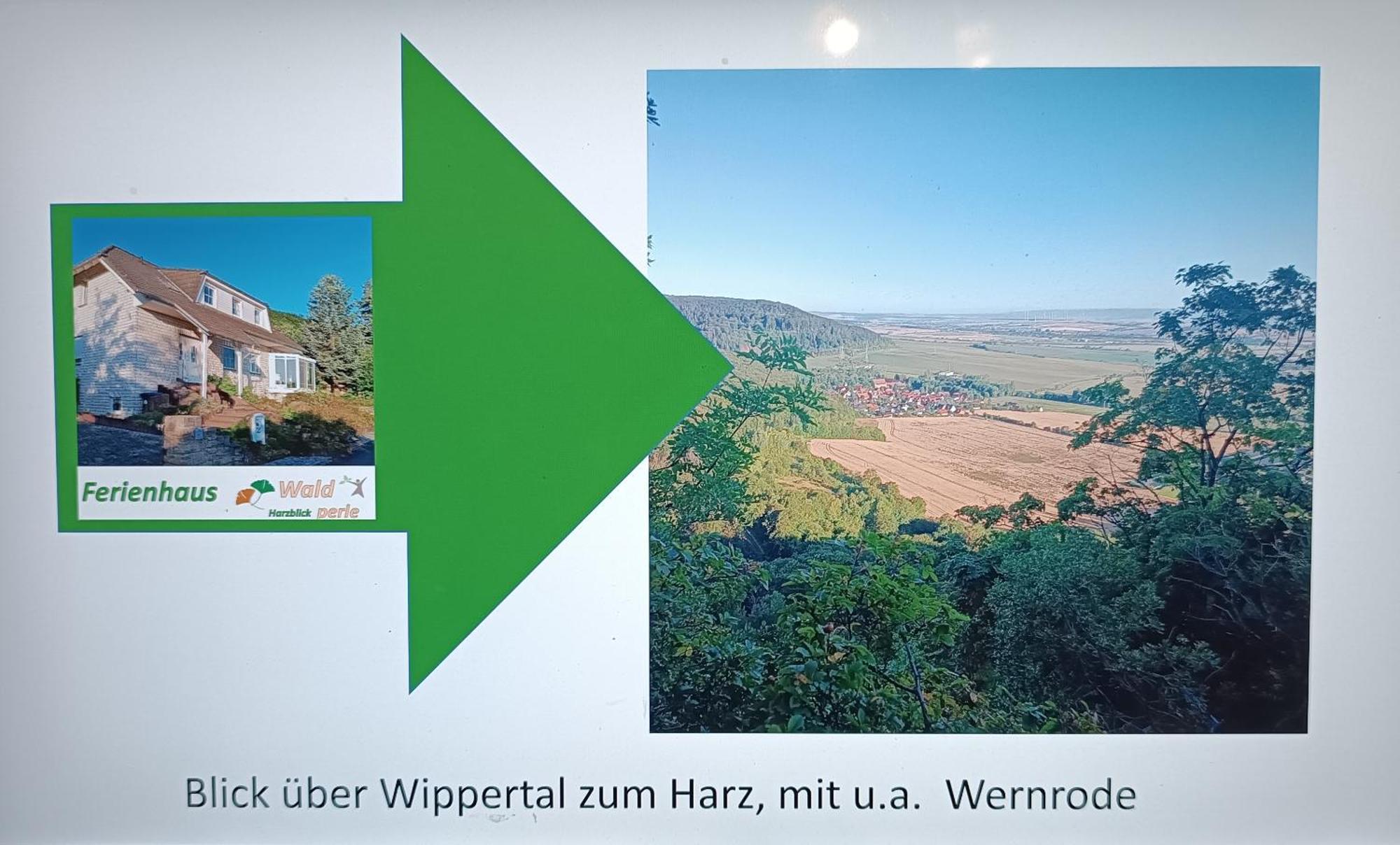 Ferienhaus Waldperle Harzblick Wernrode Bagian luar foto