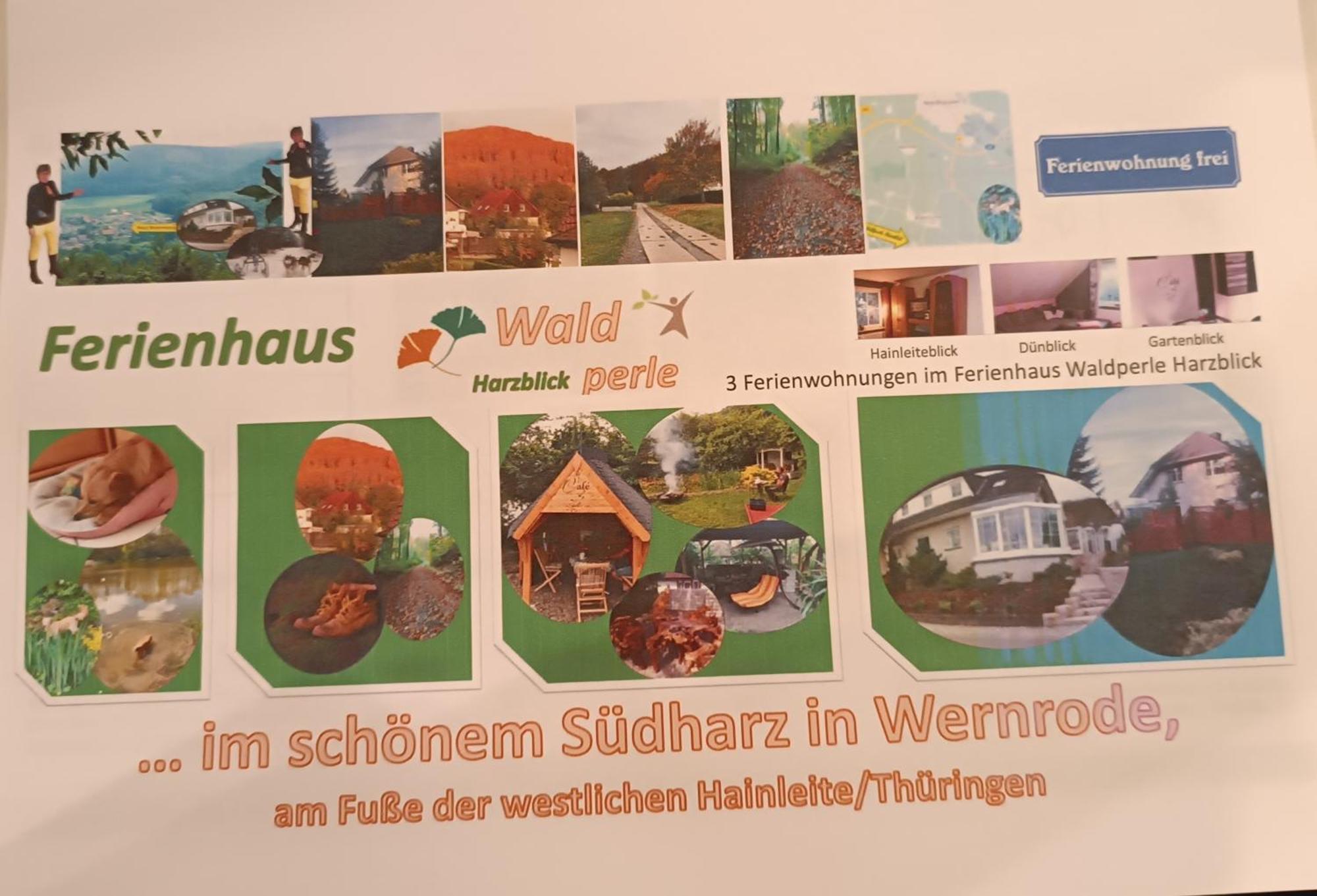 Ferienhaus Waldperle Harzblick Wernrode Bagian luar foto