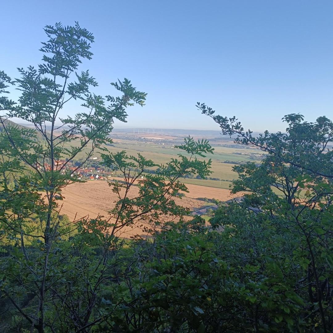 Ferienhaus Waldperle Harzblick Wernrode Bagian luar foto