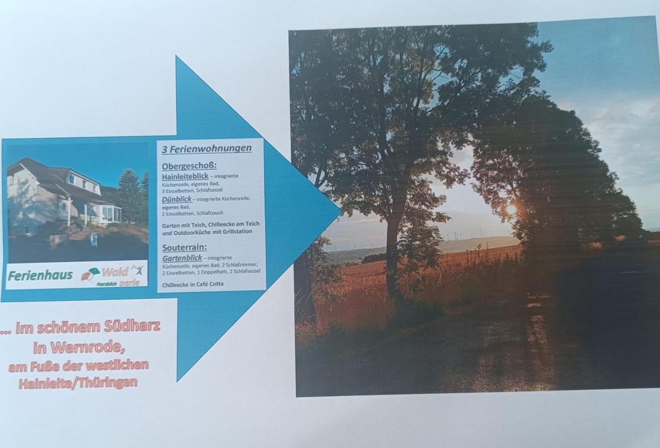 Ferienhaus Waldperle Harzblick Wernrode Bagian luar foto